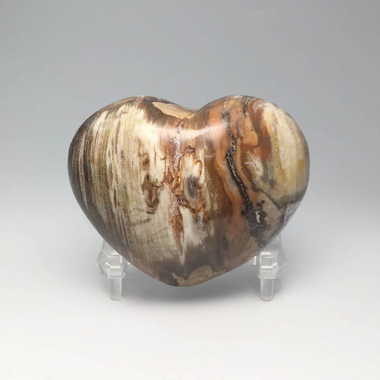 Petrified Wood Heart - Rocks and Gems Canada