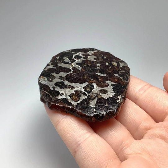 Sericho Meteorite Slice - Rocks and Gems Canada