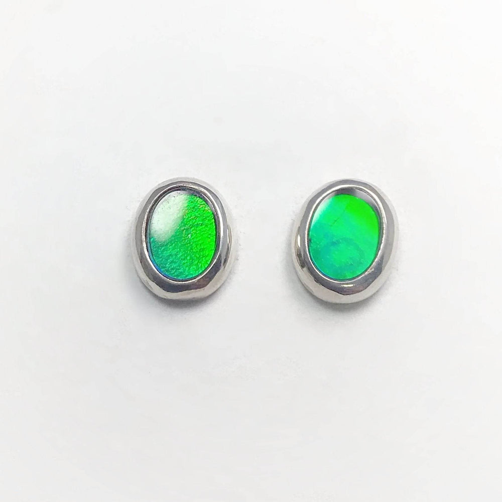 Alberta Ammolite Stud Earrings - Rocks and Gems Canada