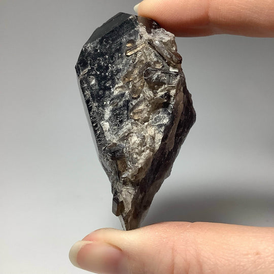 Smoky Quartz Cluster - Rocks and Gems Canada