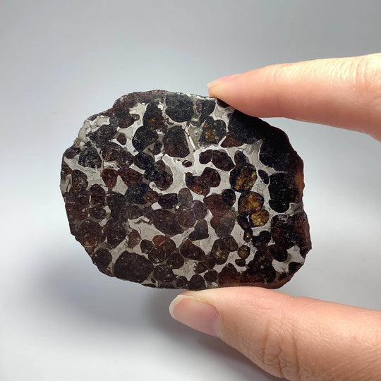 Sericho Meteorite Slice - Rocks and Gems Canada