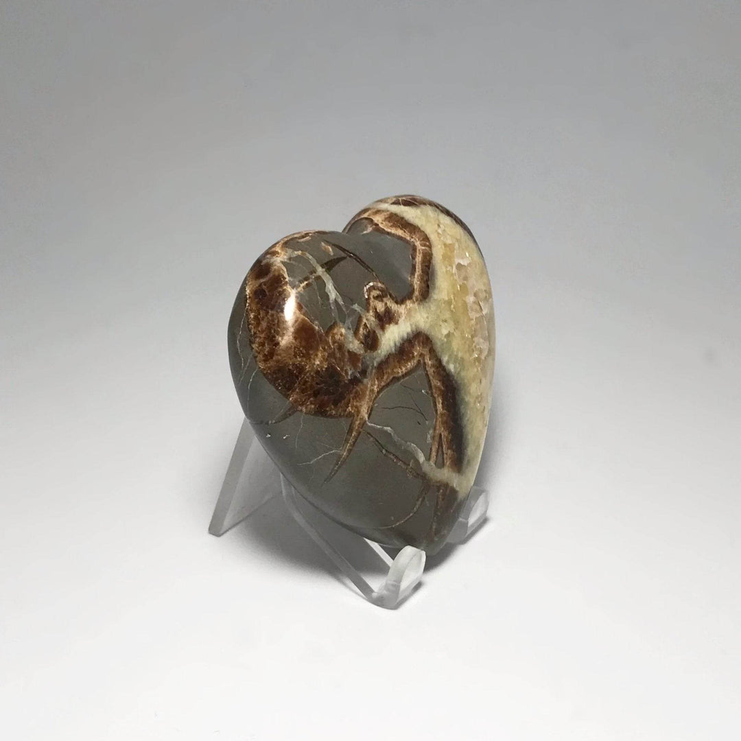 Septarian Heart - Rocks and Gems Canada