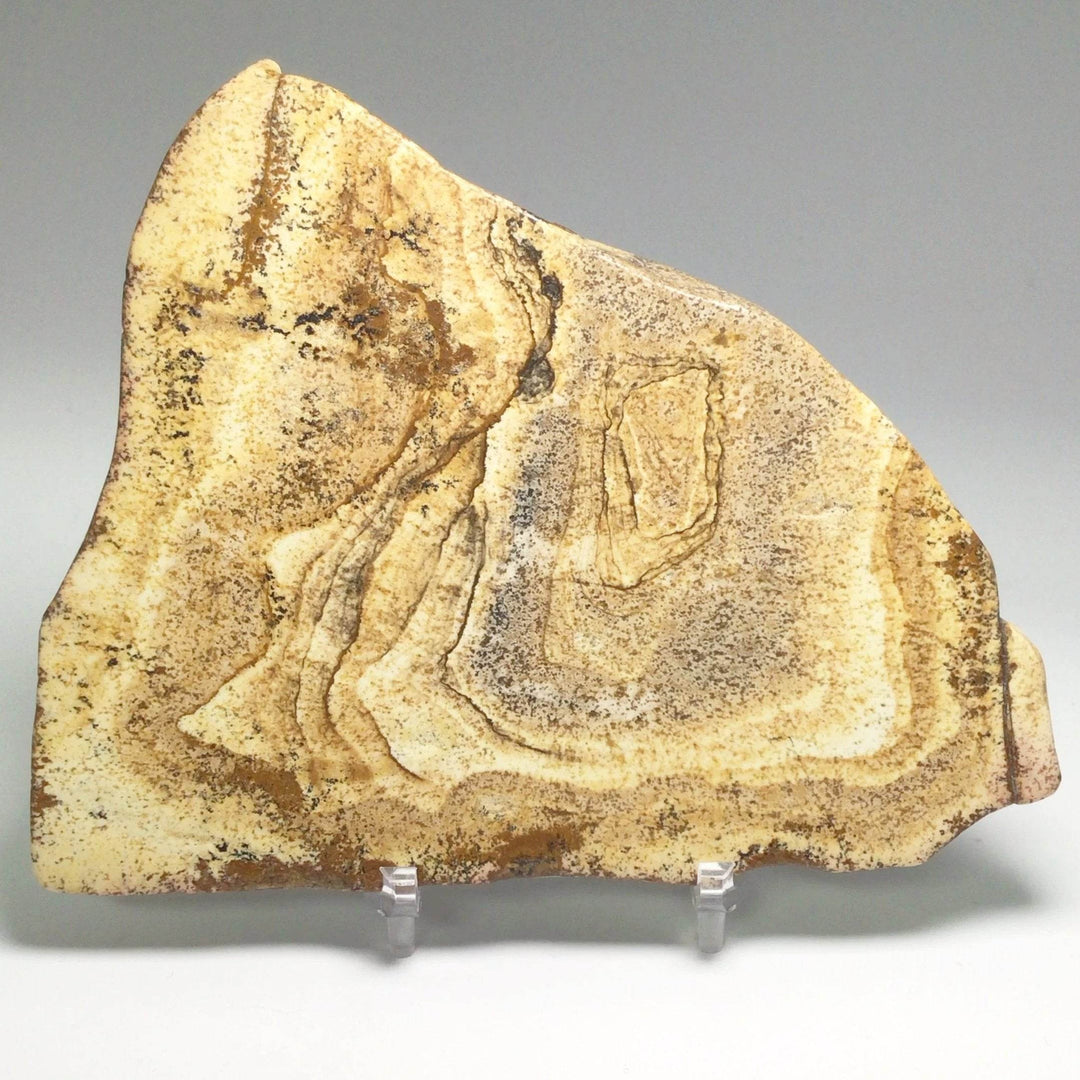 Picture Jasper Slice - Rocks and Gems Canada