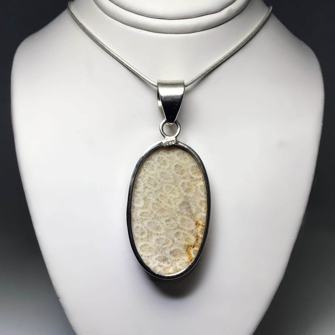 Fossilized Coral Pendant - Rocks and Gems Canada