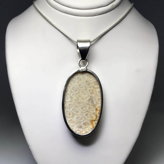 Fossilized Coral Pendant - Rocks and Gems Canada