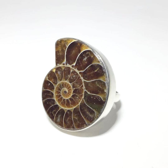 Ammonite Ring - Rocks and Gems Canada