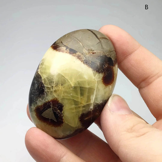 Septarian Tumble - Rocks and Gems Canada