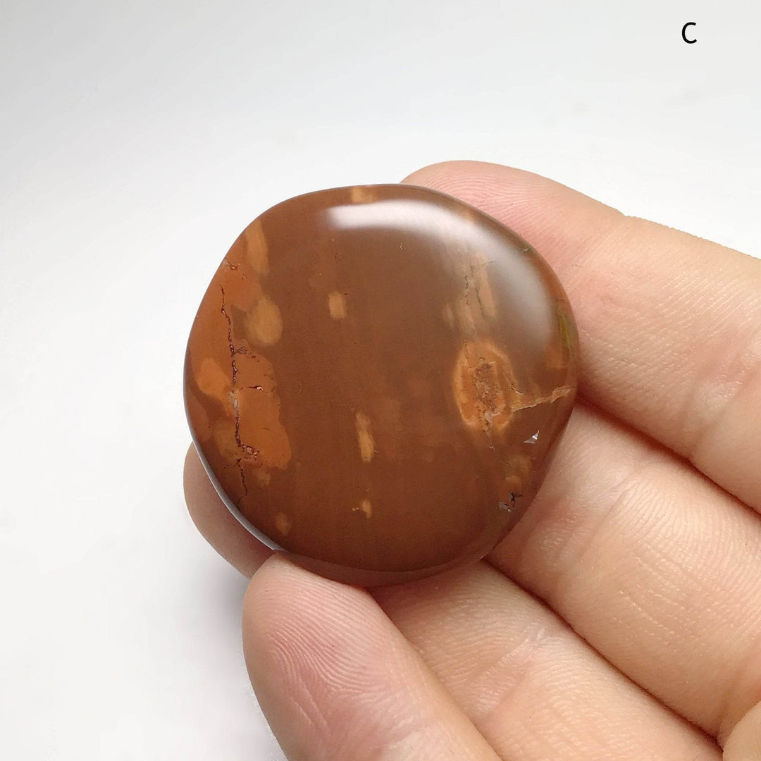 Petrified Wood Touch Stone - Rocks and Gems Canada