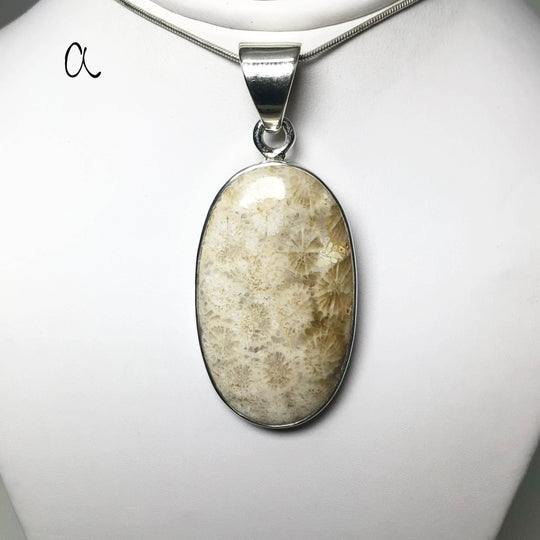 Fossilized Coral Pendant - Rocks and Gems Canada