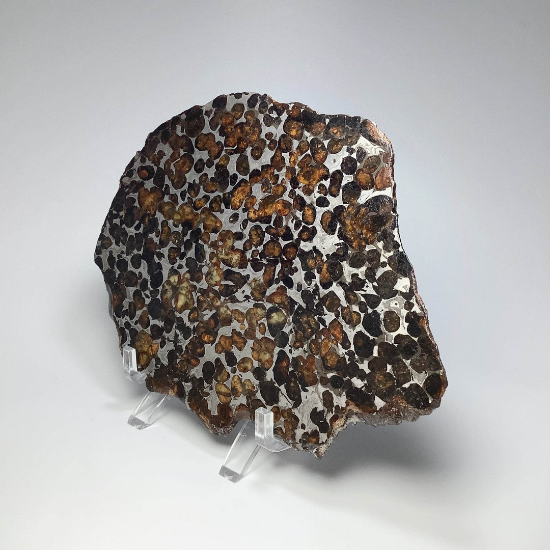 Sericho Large Meteorite Slice - Rocks and Gems Canada