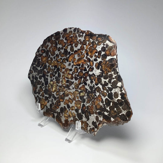 Sericho Large Meteorite Slice - Rocks and Gems Canada