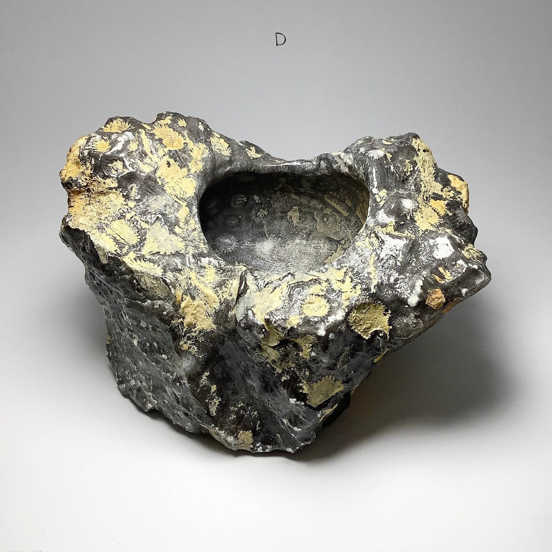 Fossilized Coral Bowl - Rocks and Gems Canada