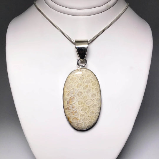 Fossilized Coral Pendant - Rocks and Gems Canada