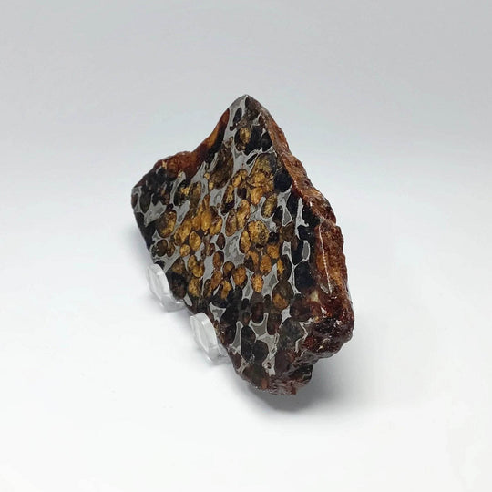 Sericho Meteorite Slice - Rocks and Gems Canada