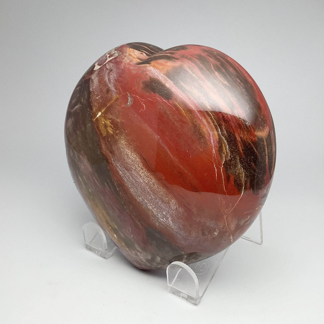 Petrified Wood Large Heart - Rocks and Gems Canada