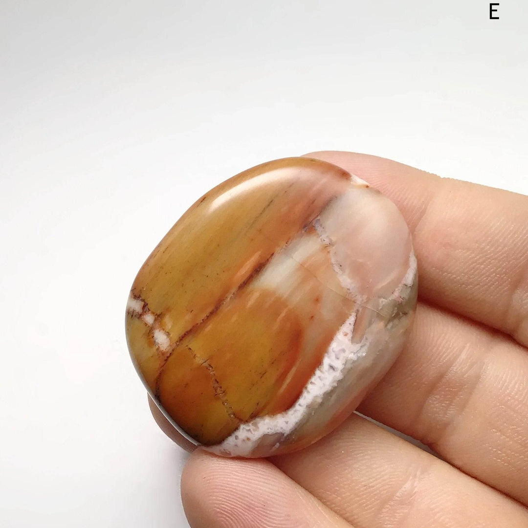 Petrified Wood Touch Stone - Rocks and Gems Canada