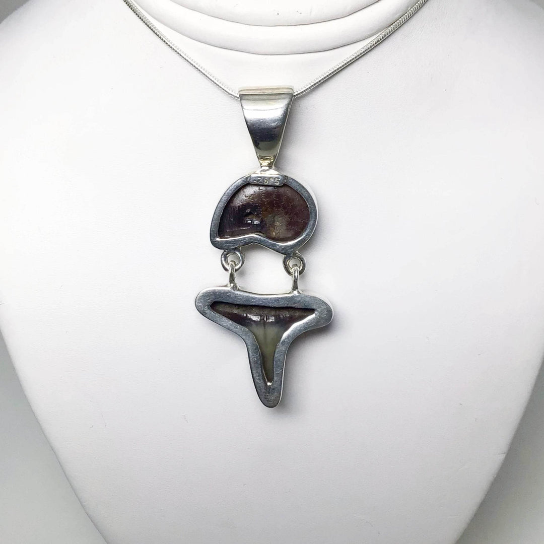 Fossilized Shark Tooth with Ammonite Pendant - Rocks and Gems Canada
