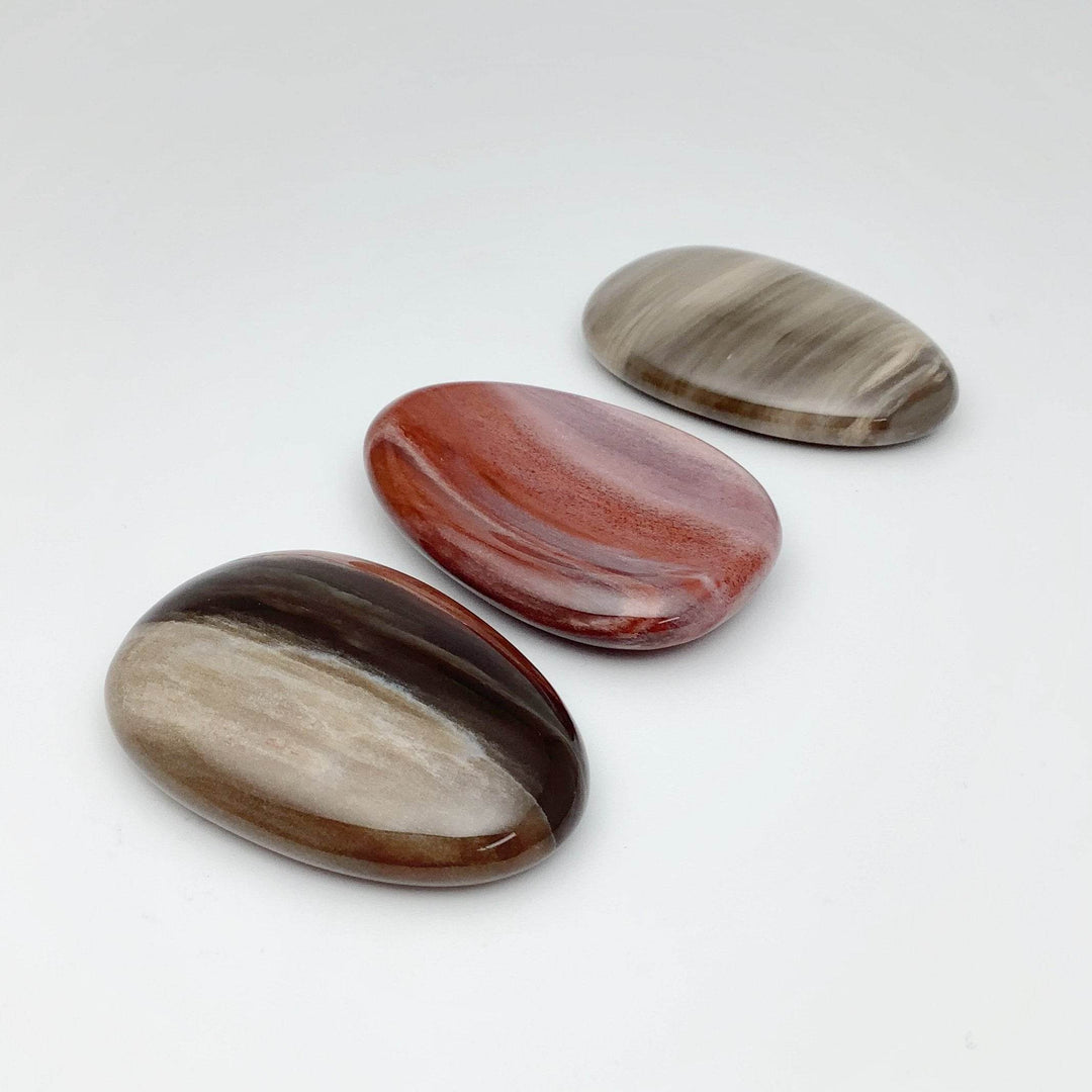 Worry Stone - Petrified Wood - Rocks and Gems Canada