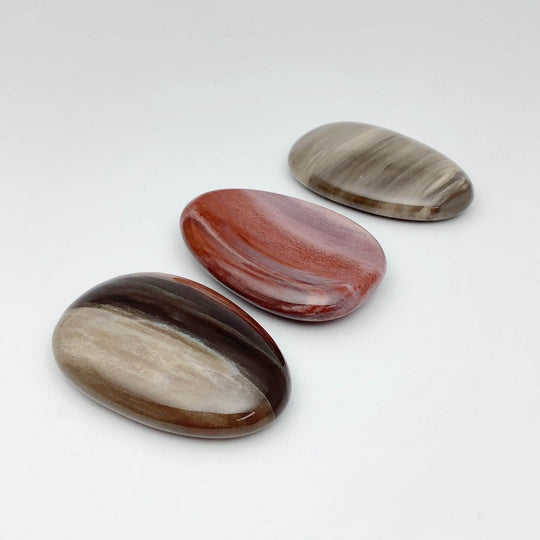 Worry Stone - Petrified Wood - Rocks and Gems Canada