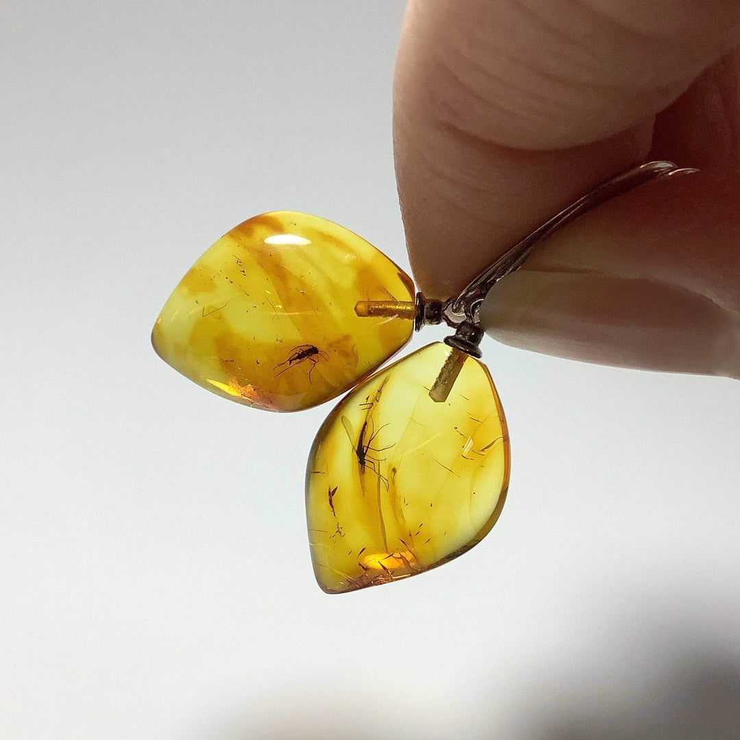 Amber with Preserved Insect Inclusion Dangle Earrings - Rocks and Gems Canada