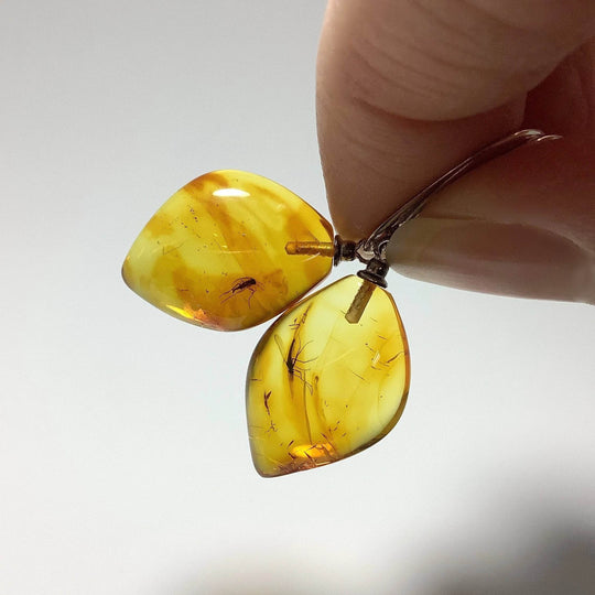Amber with Preserved Insect Inclusion Dangle Earrings - Rocks and Gems Canada