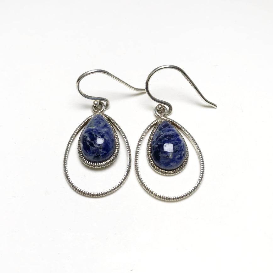 Sodalite Dangle Earrings - Rocks and Gems Canada