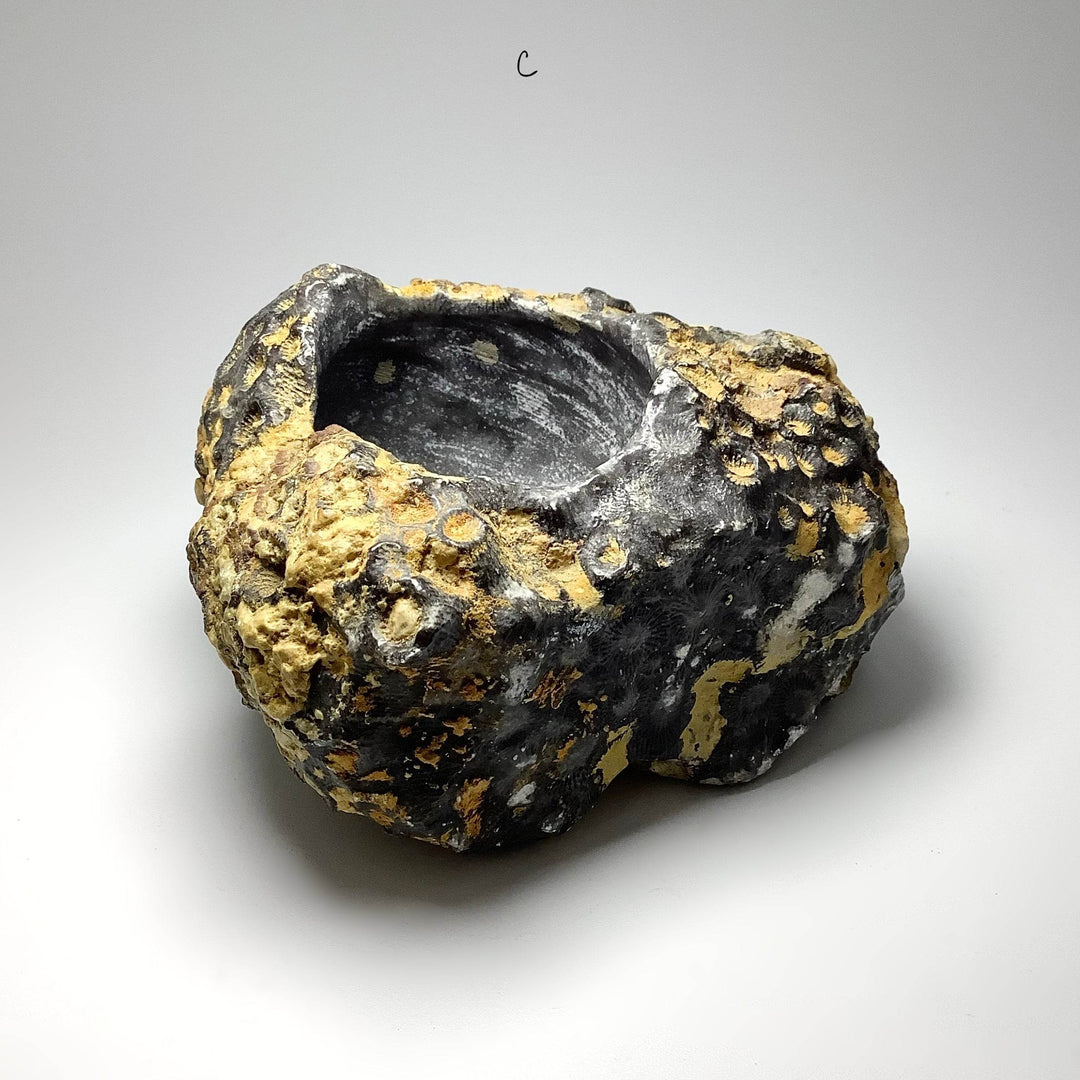 Fossilized Coral Bowl - Rocks and Gems Canada