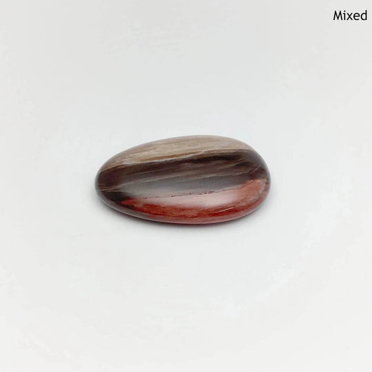 Worry Stone - Petrified Wood - Rocks and Gems Canada
