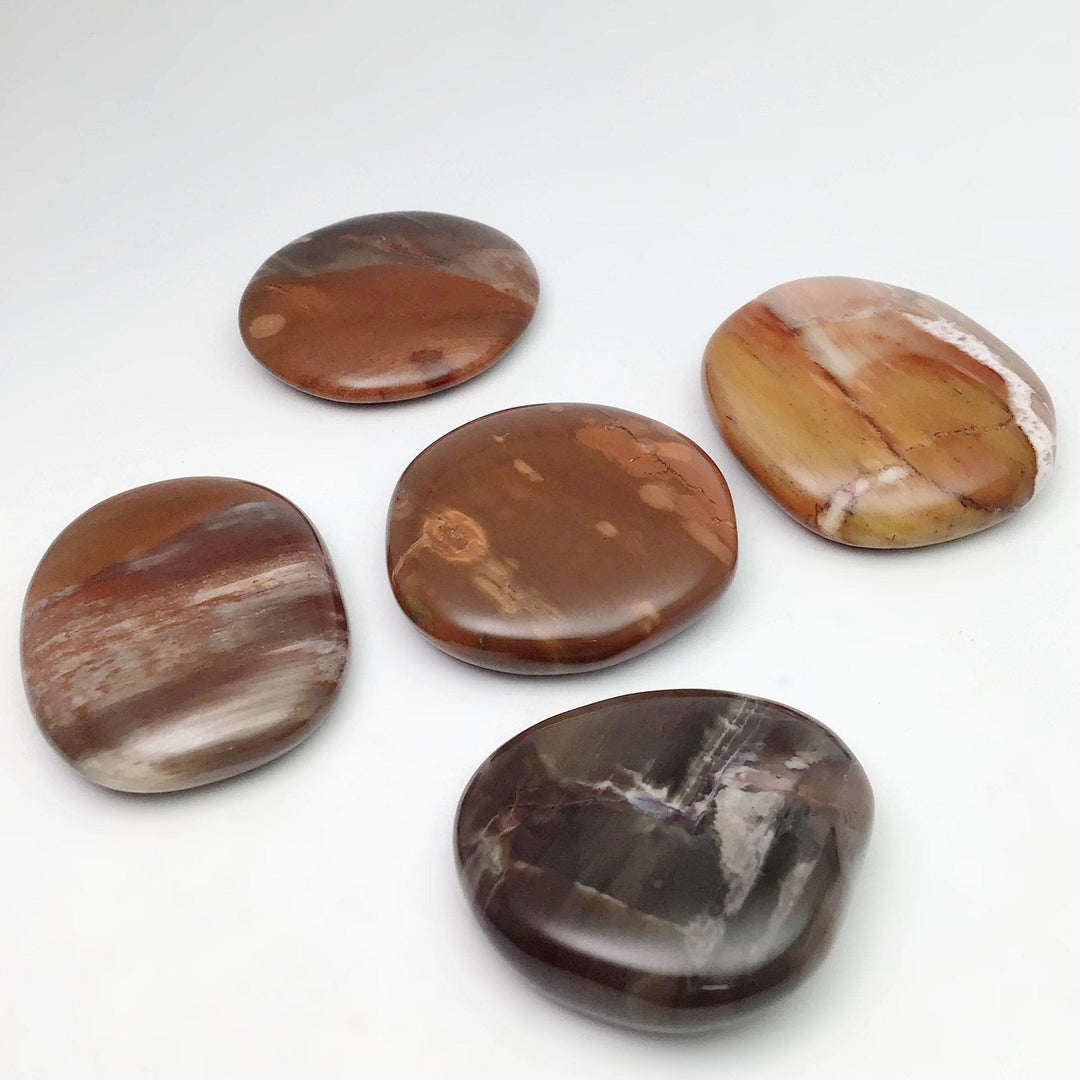 Petrified Wood Touch Stone - Rocks and Gems Canada