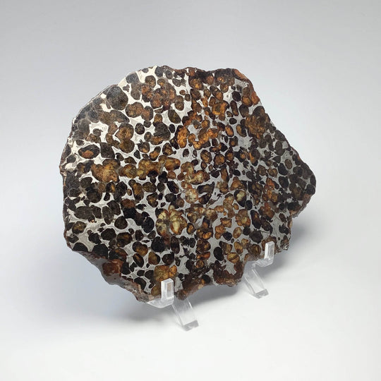 Sericho Large Meteorite Slice - Rocks and Gems Canada