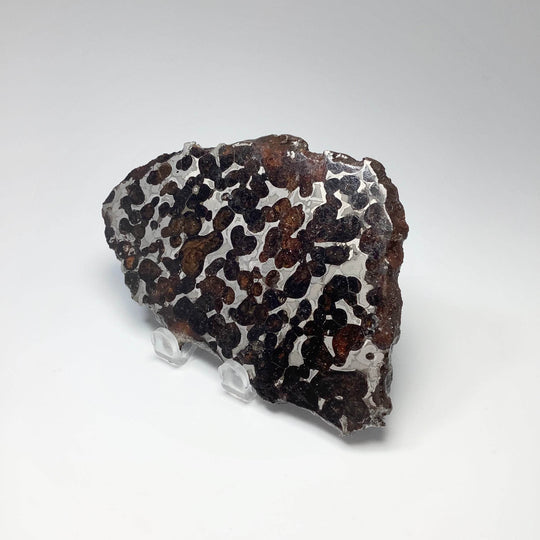 Sericho Meteorite Slice - Rocks and Gems Canada