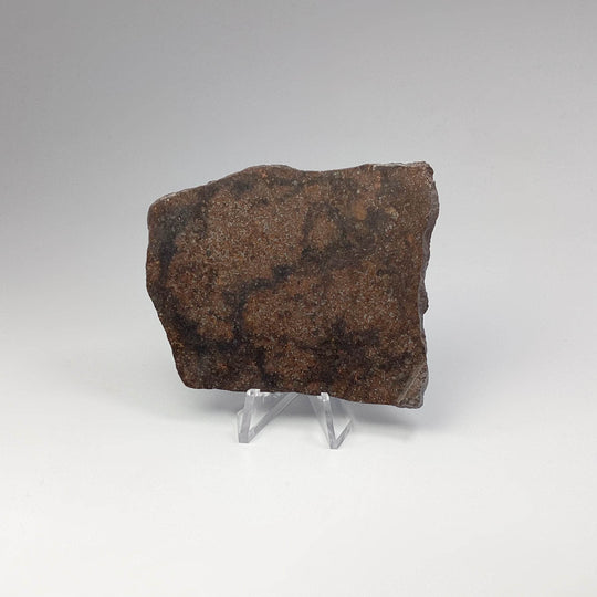 NWA Chondrite Meteorite Slab - Rocks and Gems Canada