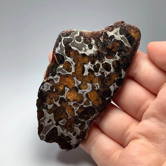 Sericho Meteorite Slice - Rocks and Gems Canada