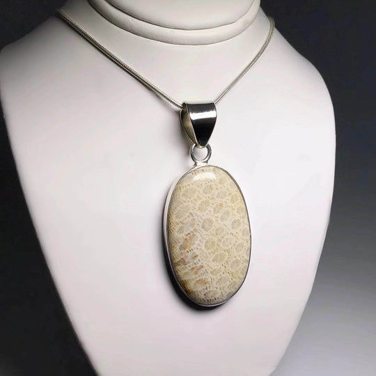 Fossilized Coral Pendant - Rocks and Gems Canada