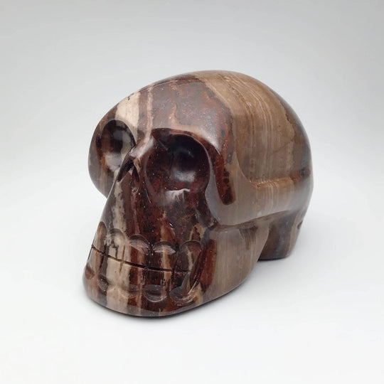 Carved Chocolate Jasper Skull - Rocks and Gems Canada