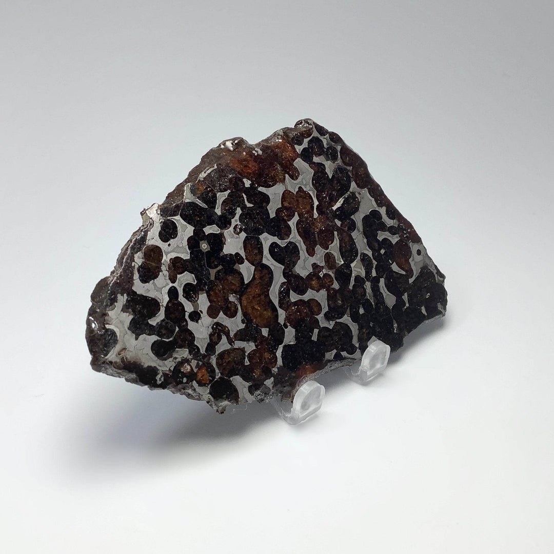 Sericho Meteorite Slice - Rocks and Gems Canada