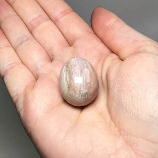 Petrified Wood Mini Egg - Rocks and Gems Canada