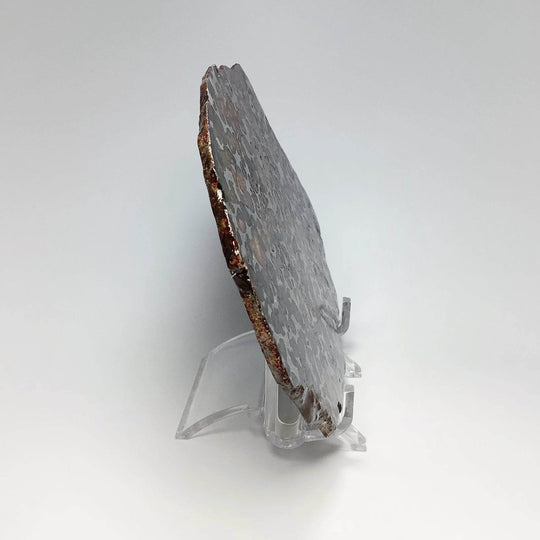 Sericho Large Meteorite Slice - Rocks and Gems Canada