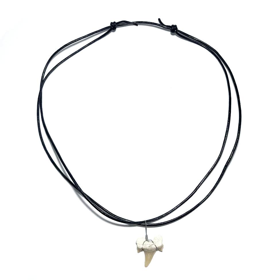 Shark Tooth Fossil Wire Wrapped Necklace - Rocks and Gems Canada