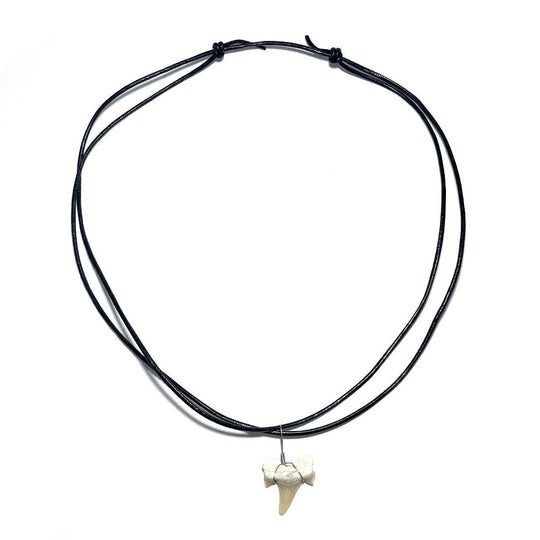 Shark Tooth Fossil Wire Wrapped Necklace - Rocks and Gems Canada