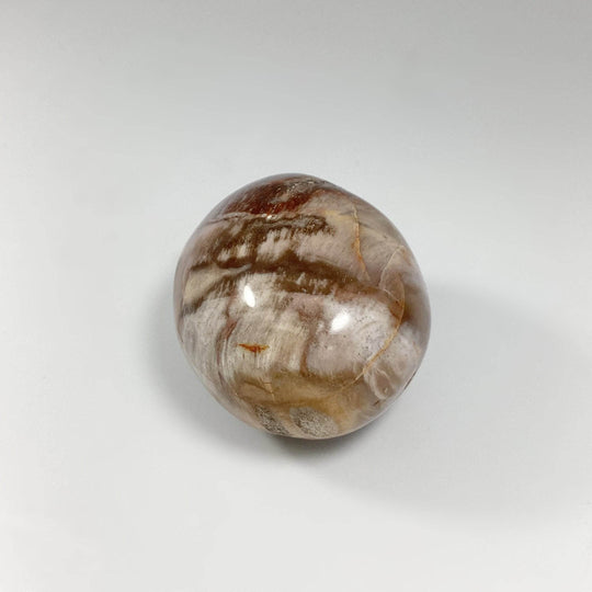 Petrified Wood Tumble - Rocks and Gems Canada