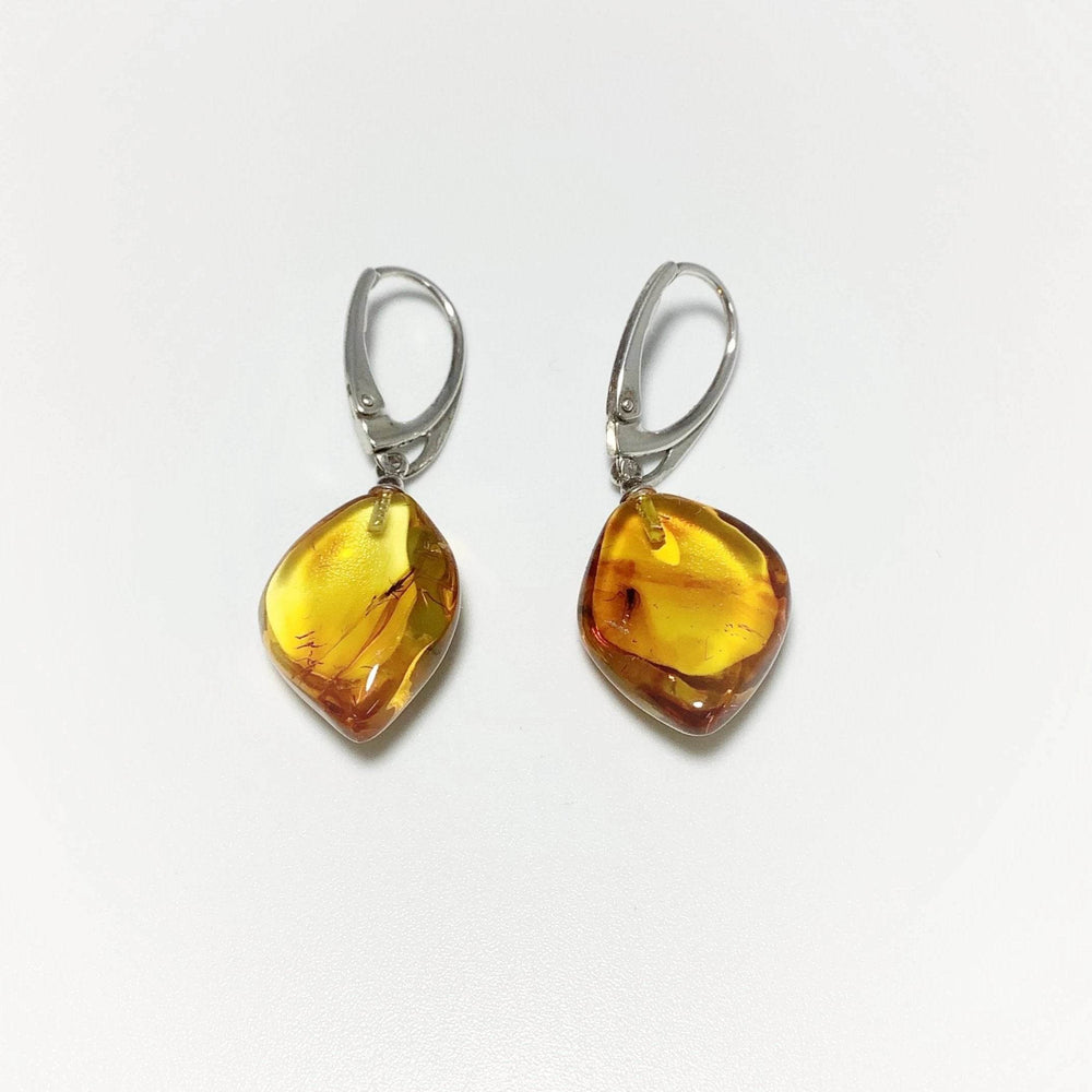 Amber with Preserved Insect Inclusion Dangle Earrings - Rocks and Gems Canada