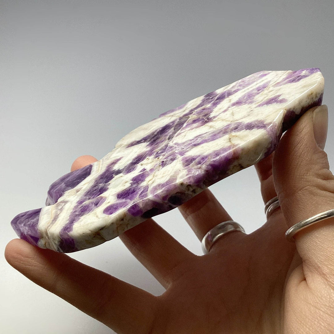 Chevron Amethyst Slice - Rocks and Gems Canada