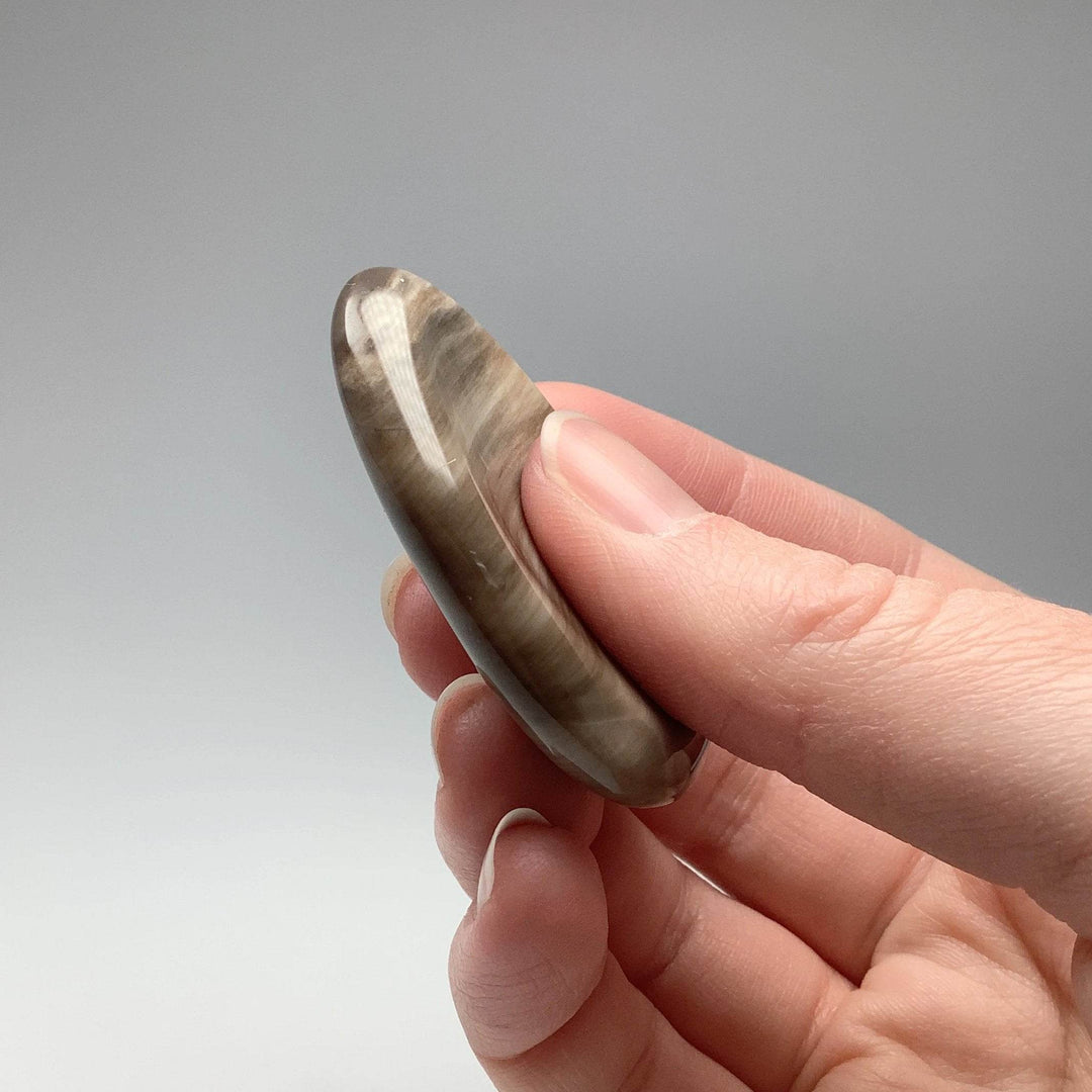 Worry Stone - Petrified Wood - Rocks and Gems Canada