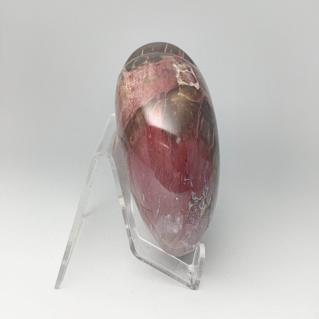 Petrified Wood Large Heart - Rocks and Gems Canada