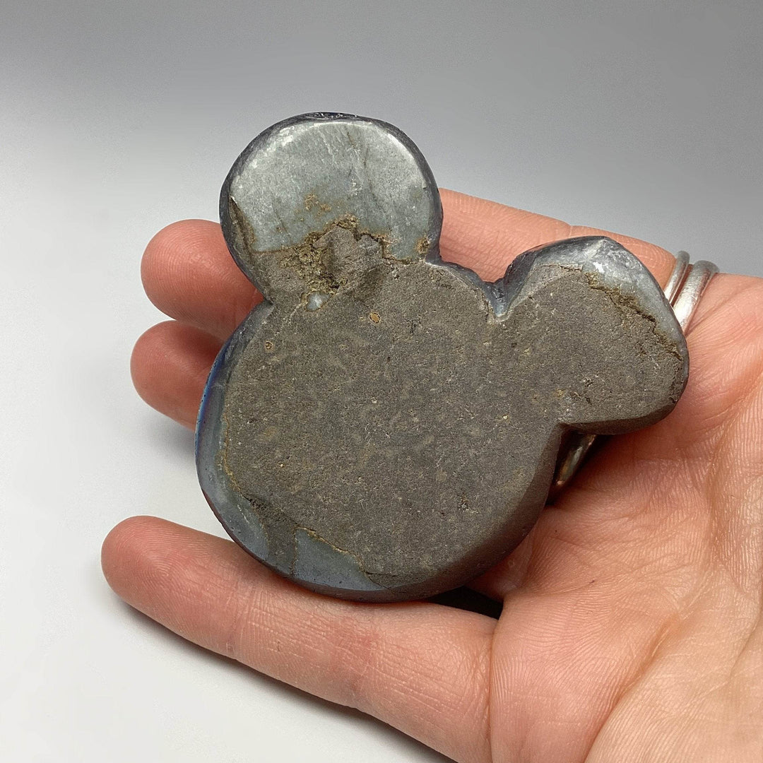 Rainbow Amethyst Druze Cluster Bear Carving - Rocks and Gems Canada