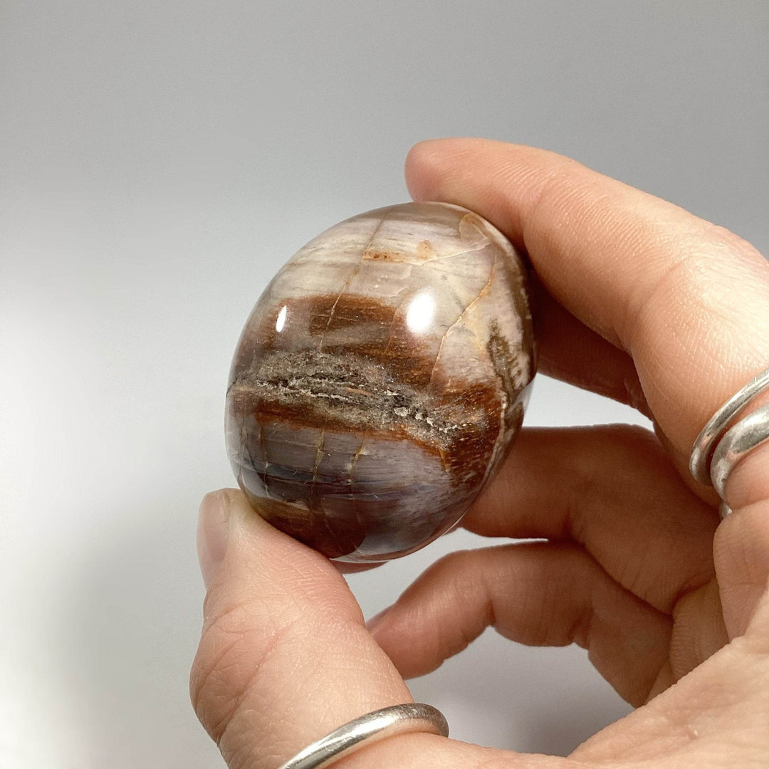 Petrified Wood Tumble - Rocks and Gems Canada