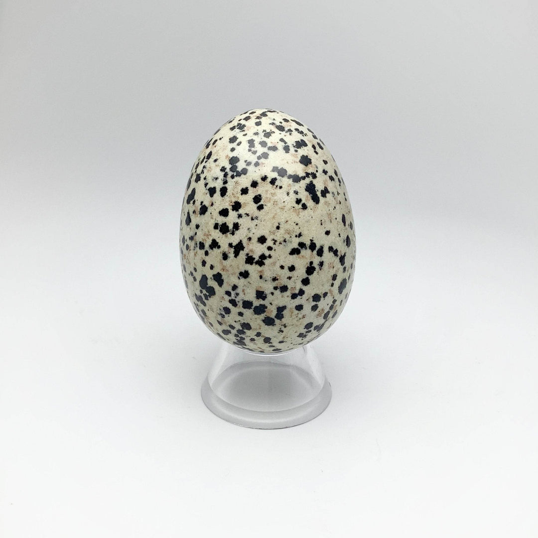 Dalmatian Jasper Egg - Rocks and Gems Canada