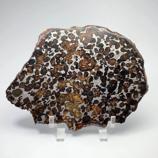 Sericho Large Meteorite Slice - Rocks and Gems Canada
