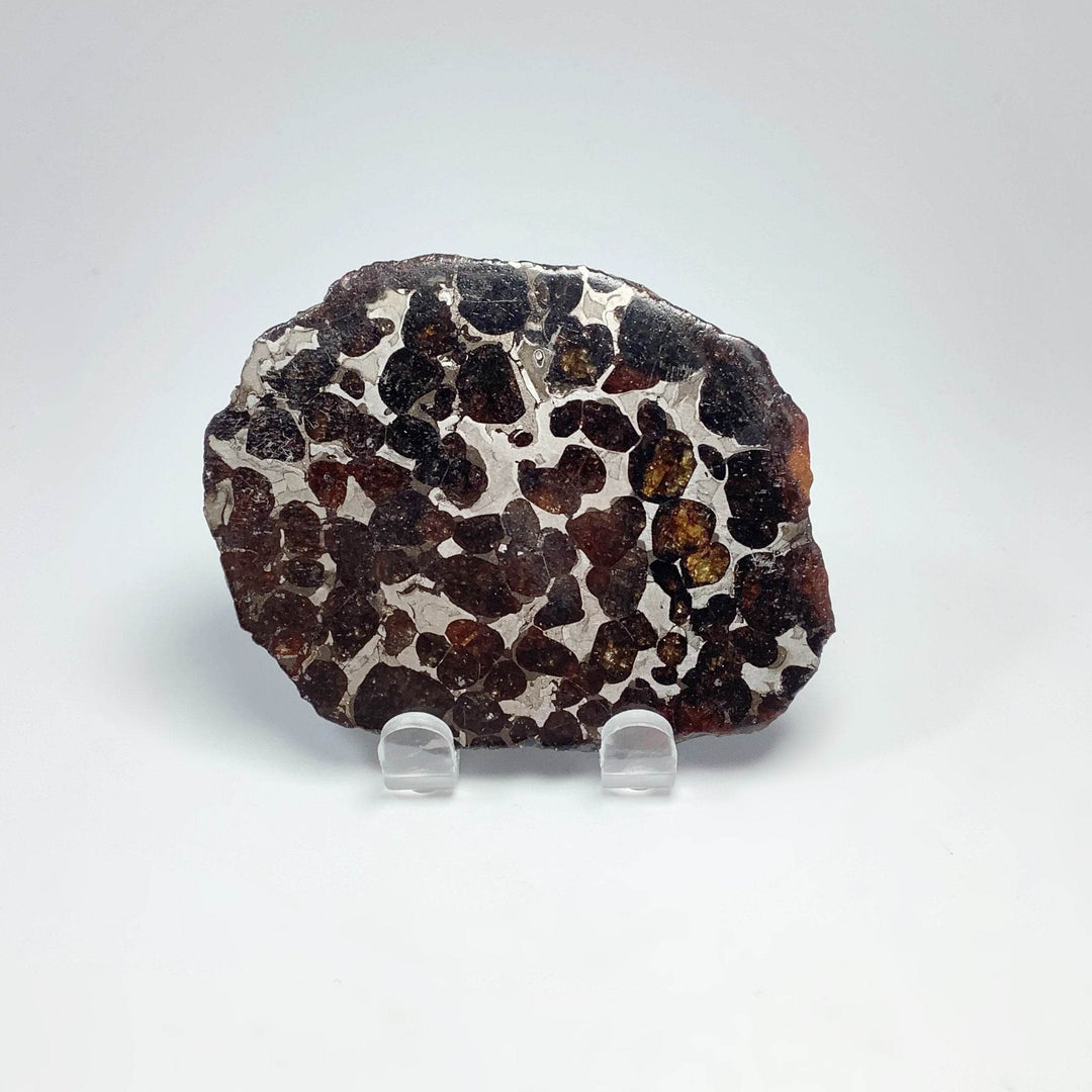 Sericho Meteorite Slice - Rocks and Gems Canada